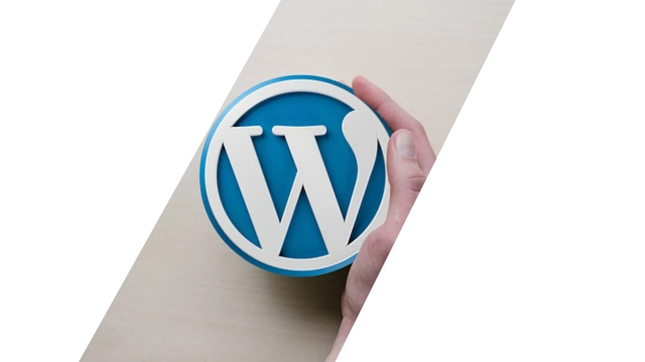 wordpress-developement-bangalore